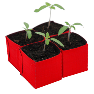 Seed Pots