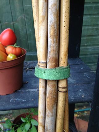 ONE-WRAP Plant Ties