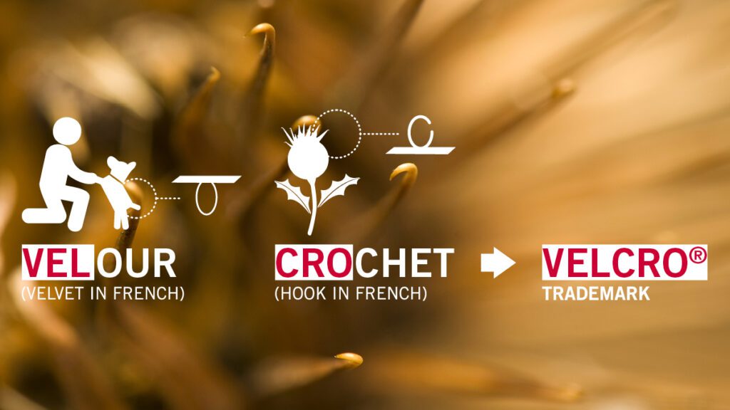 Origin of the VELCRO® trademark