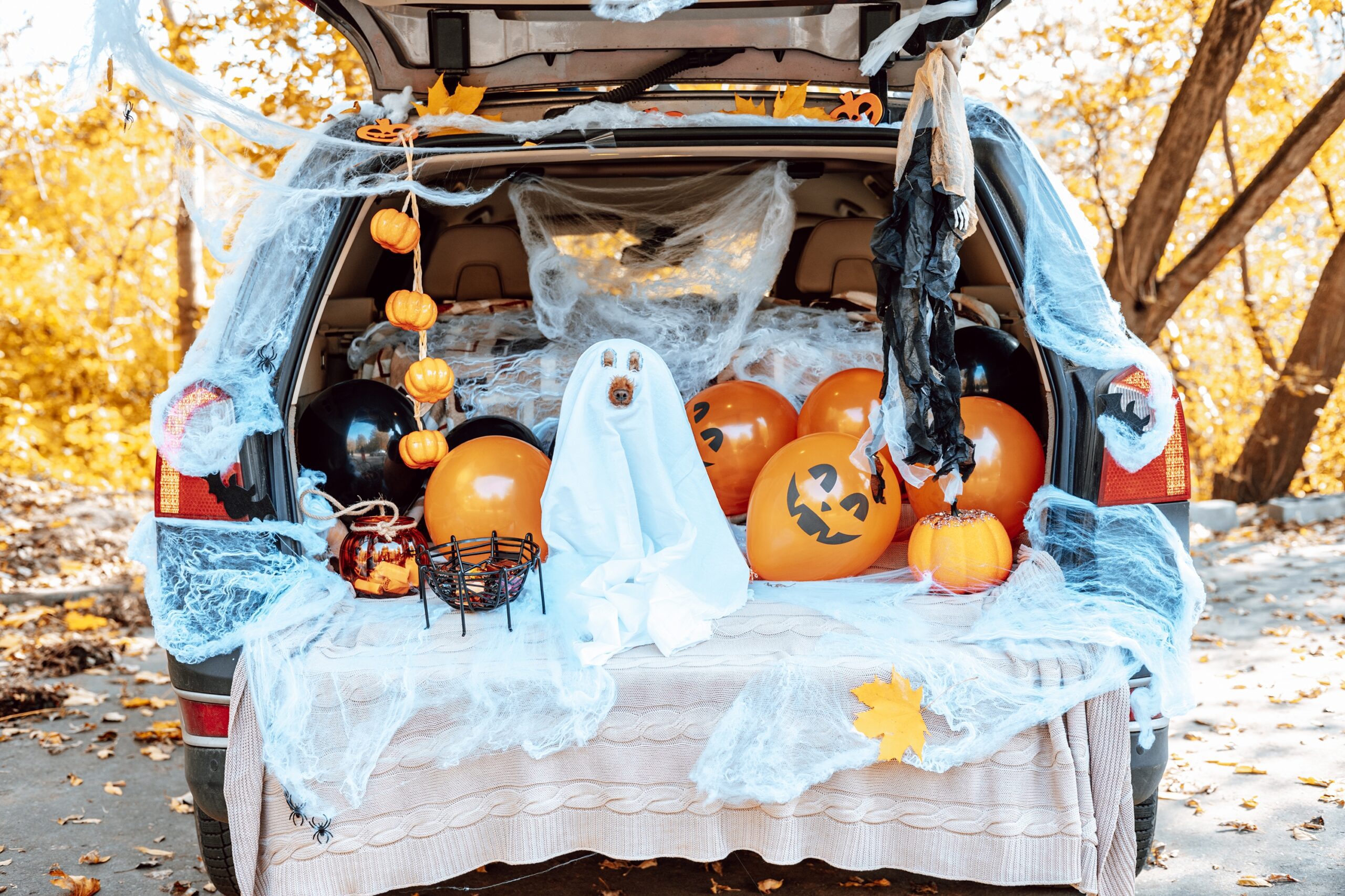 what is trunk or treat?