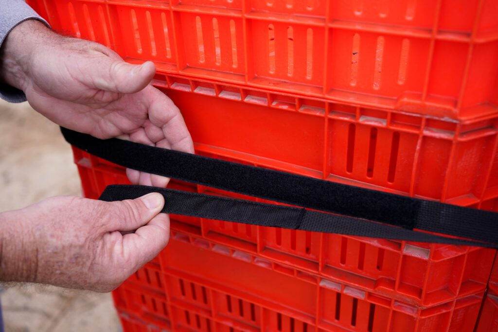 Hands securing reusable fastening strap around stacked harvest bins to stabilize produce for large-scale farmers.