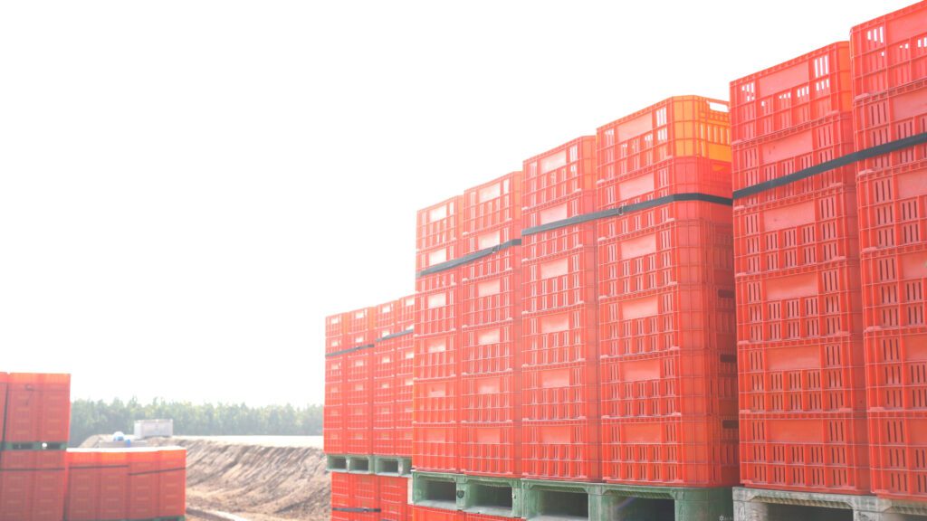 Stacked harvest containers on green pallets in outdoor farm area; additional produce bins visible nearby.