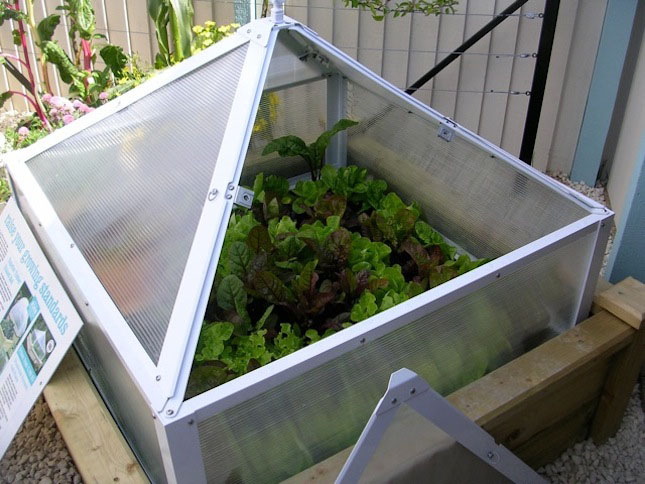 VELCRO Brand Gardening Tips Charlie Nardozzi